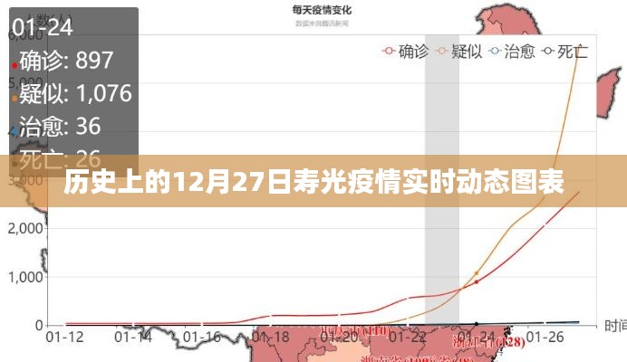 寿光疫情实时动态图表，历史数据解析