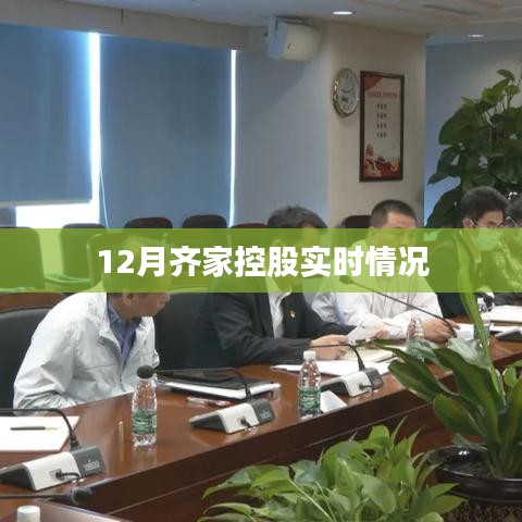 12月齐家控股最新动态