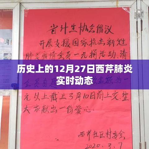 历史上的西芹肺炎实时动态，聚焦十二月二十七日进展