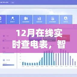 智能电表与电力监控新时代，12月实时查电表功能上线