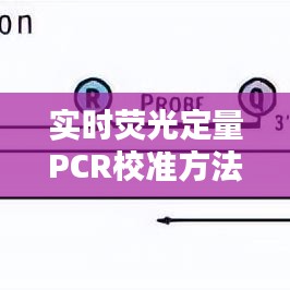 实时荧光定量PCR校准方法最新详解（XXXX年更新）