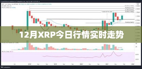 有气无力 第3页