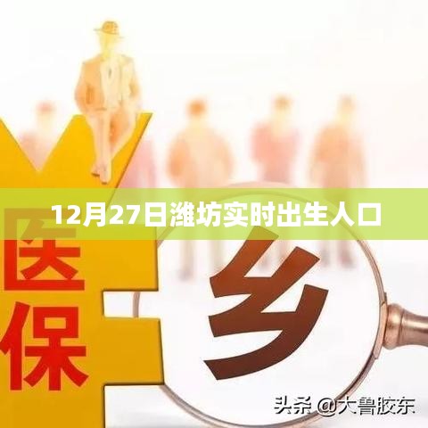潍坊实时出生人口数据（12月27日）