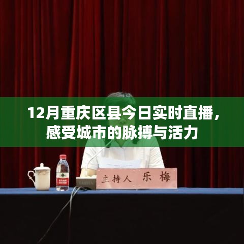 重庆区县直播，感受城市的活力与脉搏