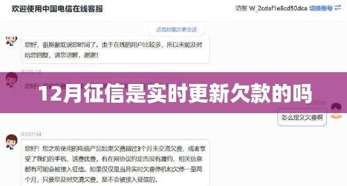12月征信更新与欠款实时变动解析