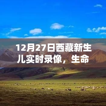 西藏新生儿诞生实录，高原祝福，生命璀璨
