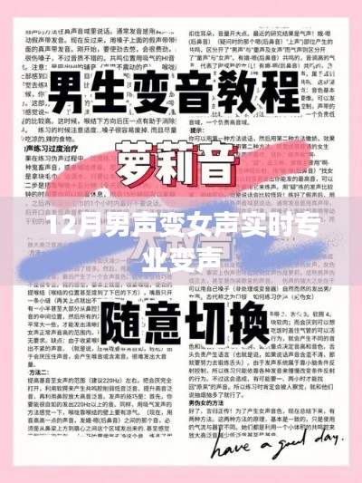 专业男声变女声实时变声技巧，12月最新指南