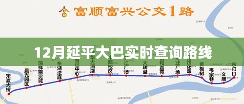 延平大巴最新路线查询（实时更新）