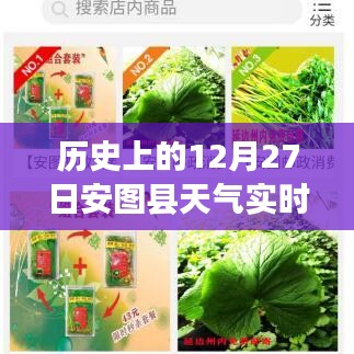百鸟朝凤 第3页