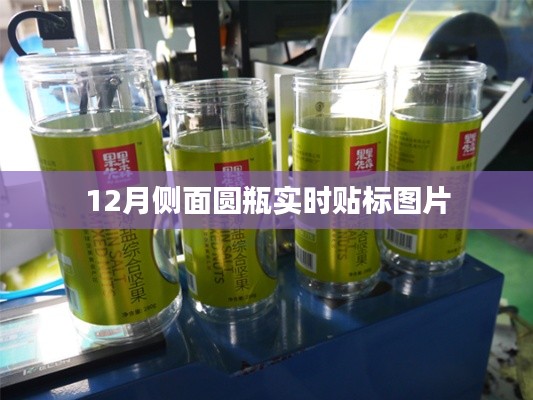 独一无二 第3页
