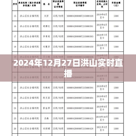 洪山实时直播，探索城市魅力，记录美好瞬间