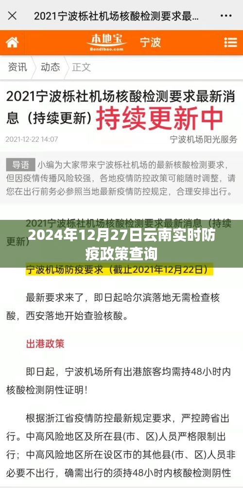 云南实时防疫政策查询（最新更新至2024年12月）