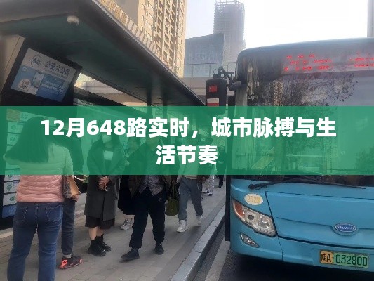 产品知识 第144页