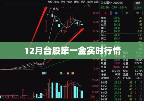 台股实时行情，把握市场脉动