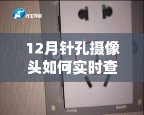 鸷鸟不群 第3页