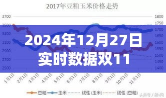 双11实时数据报告，深度解析购物狂欢节 2024年12月27日