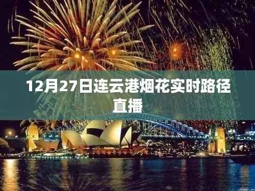 连云港烟花绽放轨迹，实时直播精彩瞬间