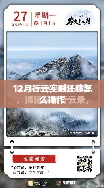 行云实时迁移操作指南，步骤详解