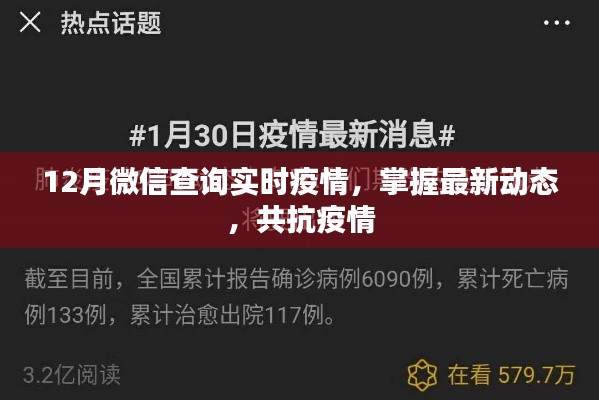 微信实时疫情查询，掌握最新动态，共克时艰