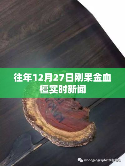 刚果金血檀最新实时新闻，12月27日动态更新