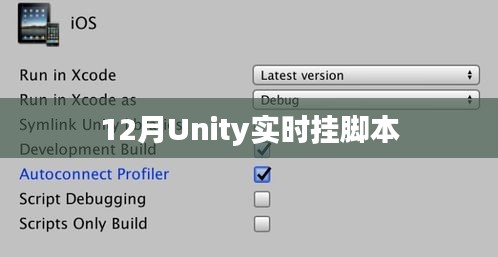 Unity实时挂脚本操作指南