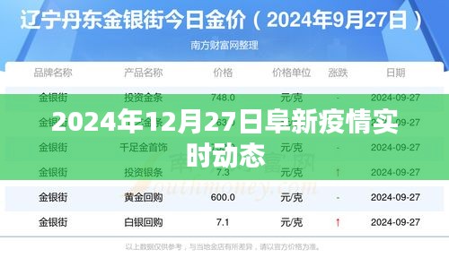 阜新疫情最新动态消息（实时更新至2024年）