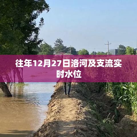 有张没智 第3页