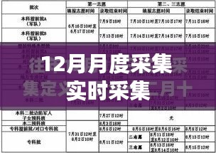 实时采集数据，掌握最新动态——月度数据监控报告
