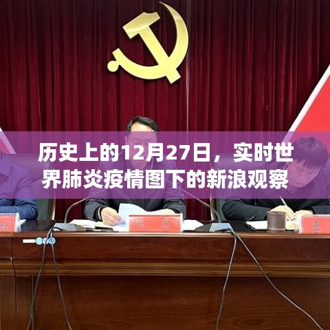 历史时刻与疫情观察，世界肺炎疫情实时图解析新浪观察。