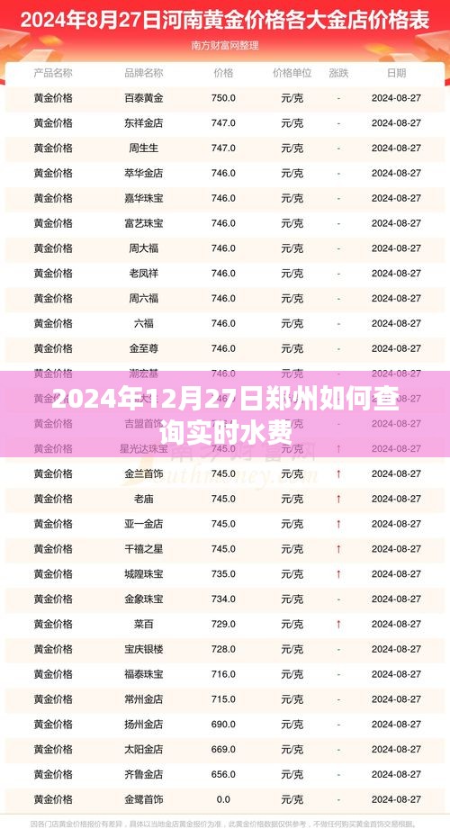 郑州实时水费查询指南，2024年12月27日操作教程