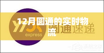 实时物流追踪，月圆通的物流动态