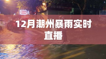 潮州暴雨直播报道，最新实时雨情分析