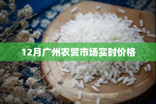 广州农贸市场最新实时价格资讯