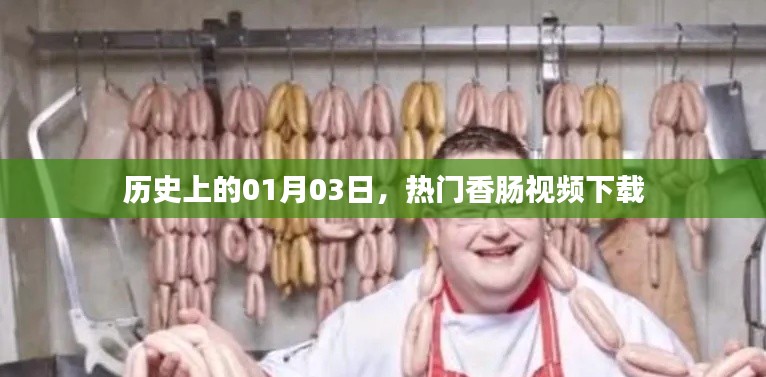 指李推张 第3页