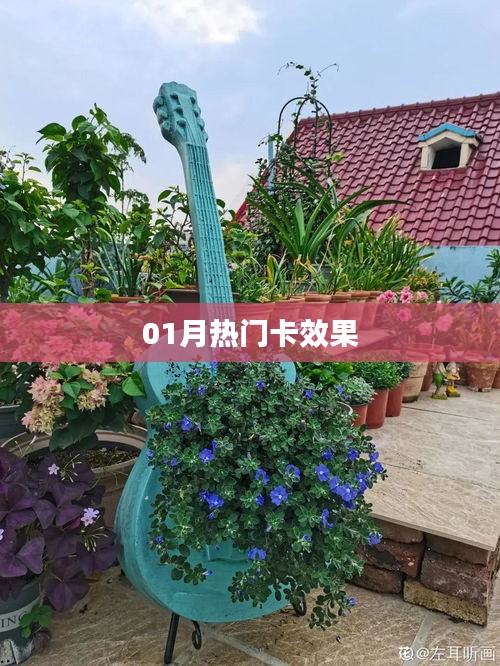热门卡效果揭秘，一月份精选盘点