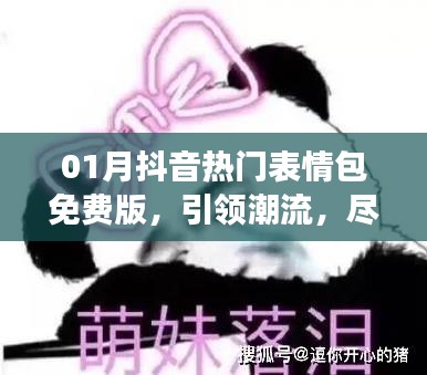 抖音热门表情包免费版来袭，引领潮流新交流方式