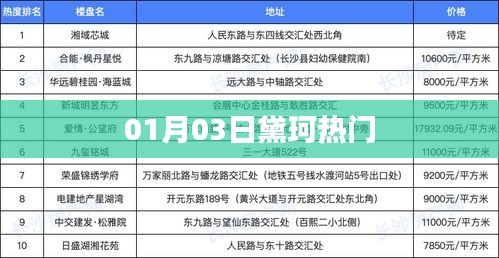 全神贯注 第3页