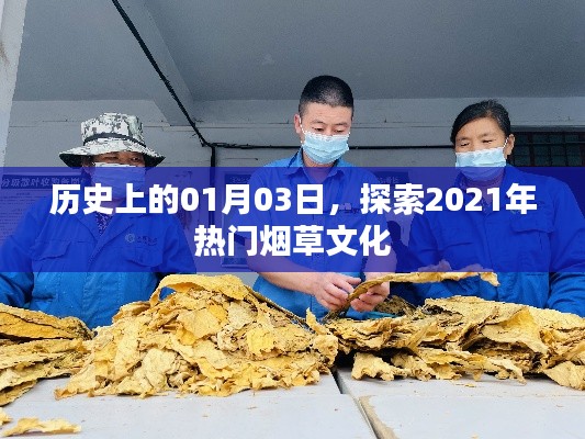 探索烟草文化，历史上的今天与未来趋势