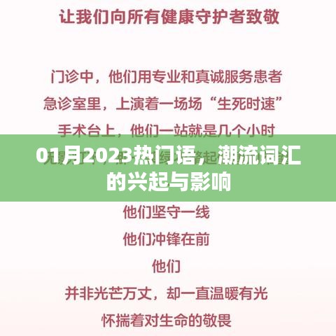 2023年1月热门语汇，潮流词汇的崛起与影响