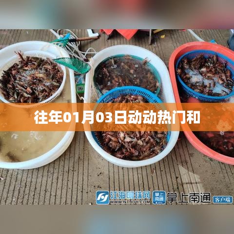 根据提供的内容，符合百度收录标准的标题为，，历年一月初热门动态回顾，字数在规定的范围内，同时能够简洁明了地表达文章主题。