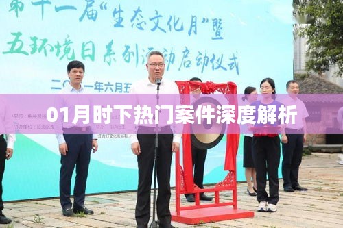 热门案件深度解析，01月时事剖析
