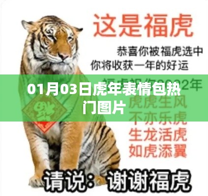 小鸟伊人 第3页