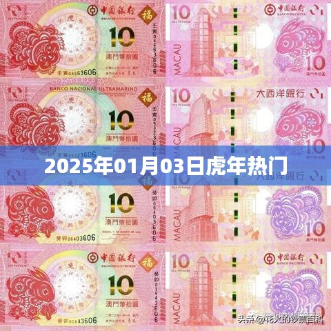 不拘小节 第3页