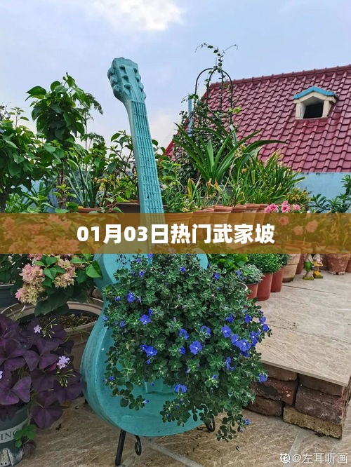 联系我们 第135页