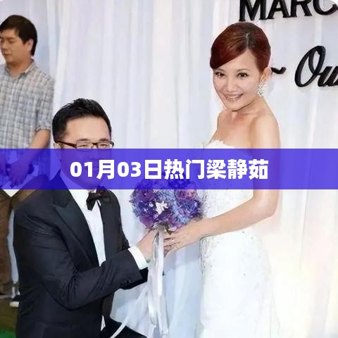 梁静茹最新热门动态，01月03日资讯速递