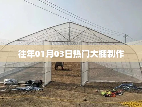 精选大棚制作技术，历年一月初热门指南