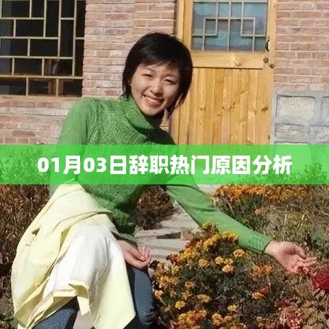 辞职热门原因解析，背后的深层原因探讨