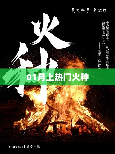 热门火种点燃一月激情时刻！