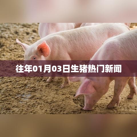 克勤克俭 第3页