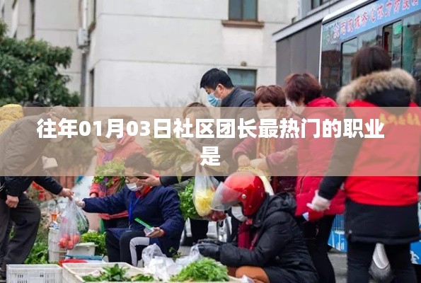 社区团长热门职业盘点，揭秘一月三日的热门选择